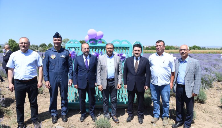 ALTIEYLÜL LAVANTA GÜNLERİ BAŞLADI